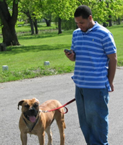 African Boerboel 