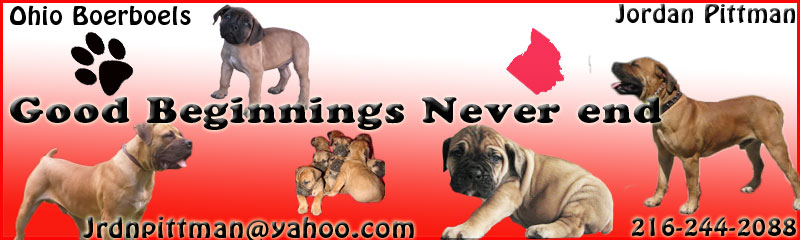 Ohio Boerboels Header